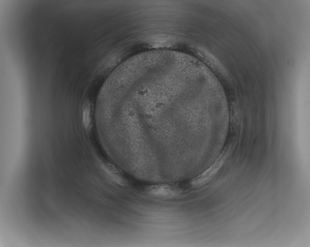 X0000111840074200908131427