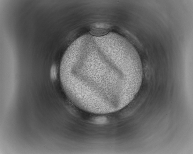 X0000111840075200908131427