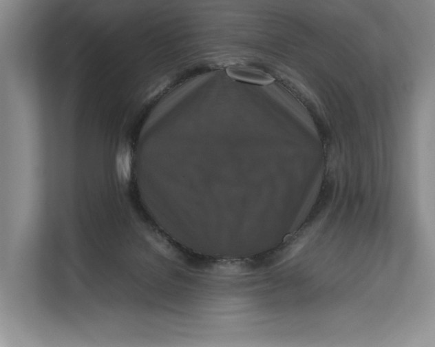 X0000111840076200908131427