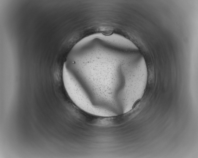 X0000111840078200908131427