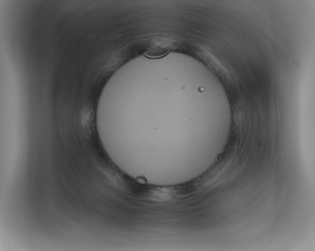 X0000111840079200908131427