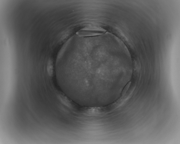 X0000111840080200908131427