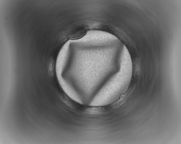 X0000111840082200908131427