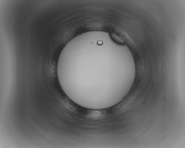 X0000111840083200908131427