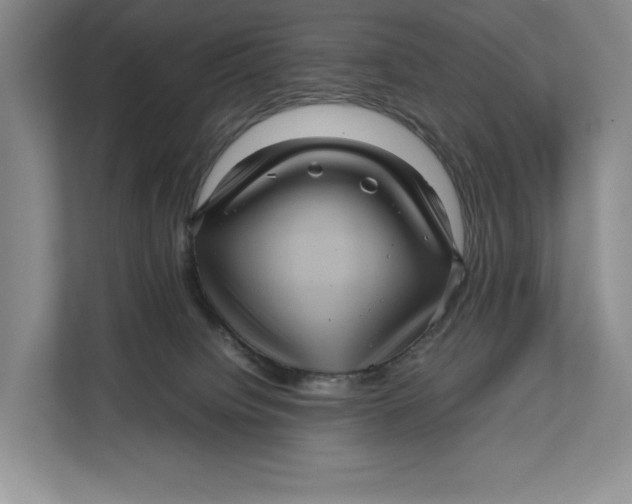 X0000111840084200908131427