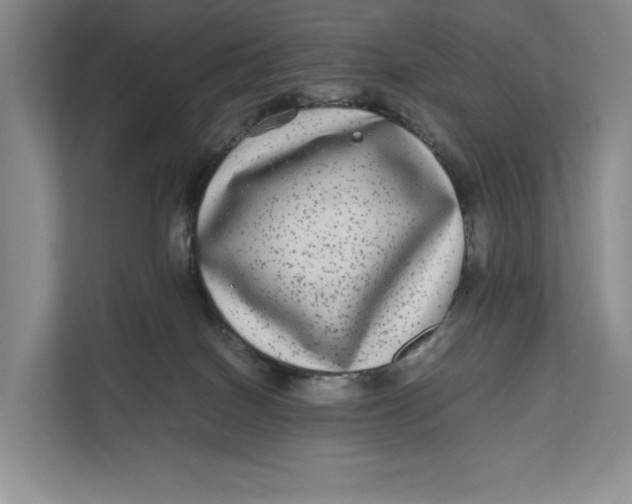 X0000111840086200908131427