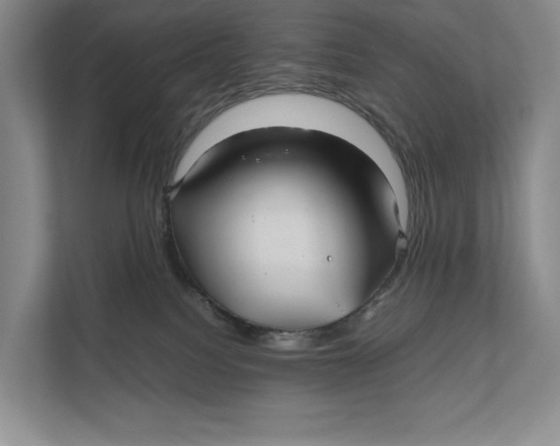 X0000111840088200908131427