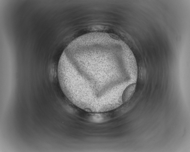 X0000111840091200908131427