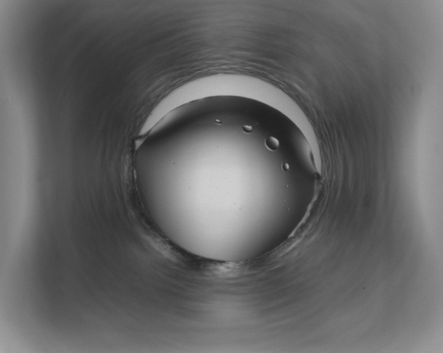 X0000111840092200908131427