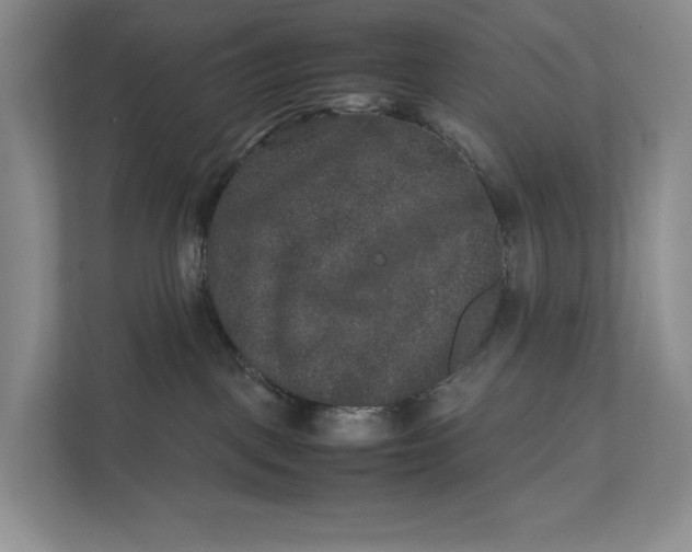 X0000111840093200908131427