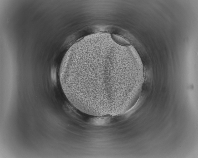 X0000111840094200908131427