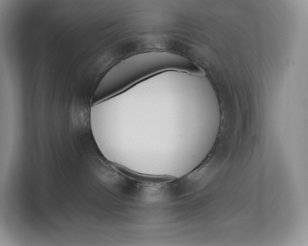 X0000111840096200908131427