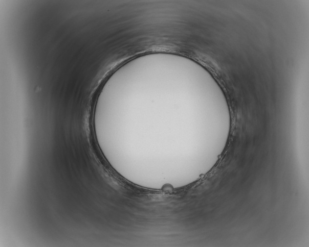 X0000111840098200908131427