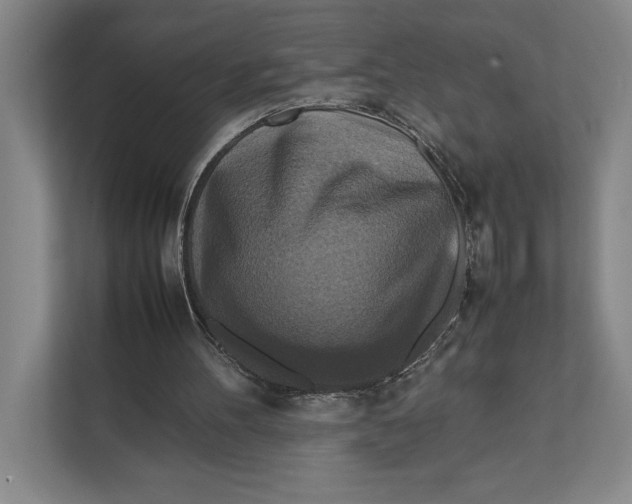 X0000111840100200908131427