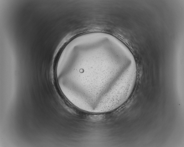 X0000111840102200908131427