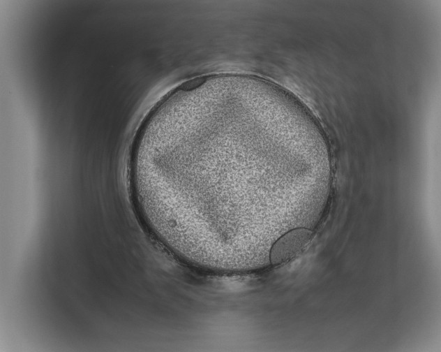 X0000111840103200908131427