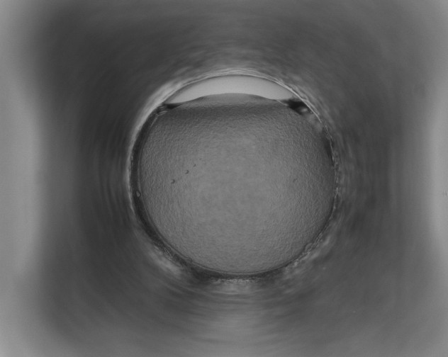 X0000111840104200908131427