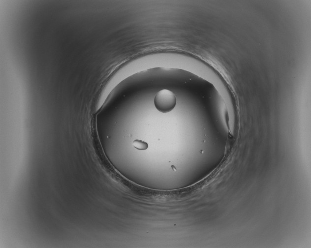 X0000111840105200908131427