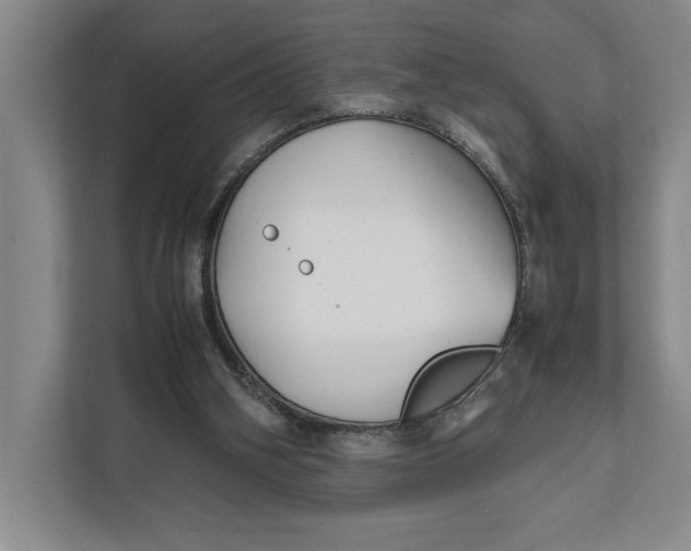 X0000111840106200908131427