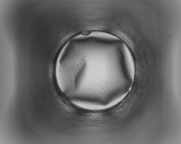 X0000111840107200908131427