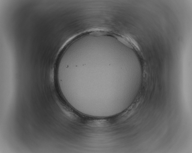 X0000111840108200908131427