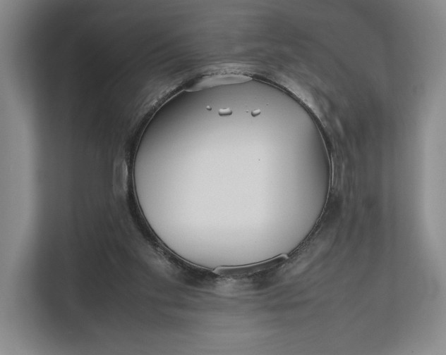 X0000111840109200908131427