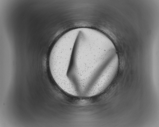 X0000111840111200908131427