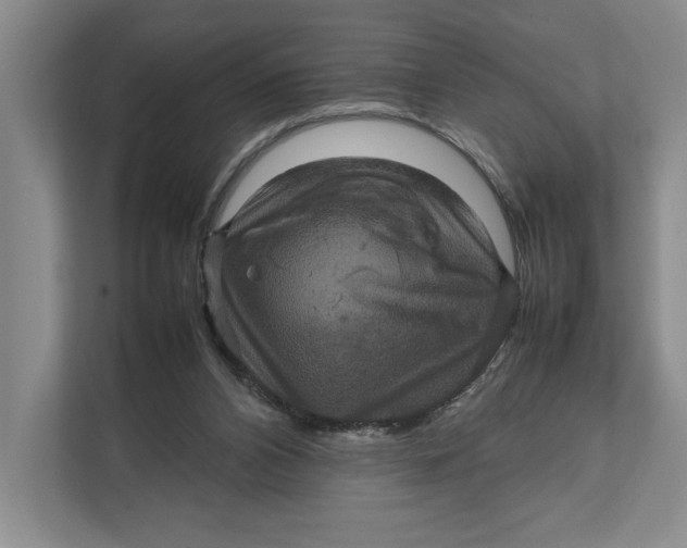 X0000111840112200908131427