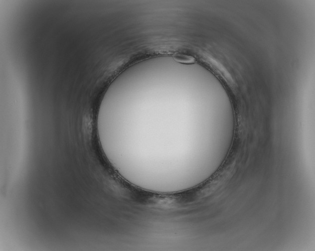 X0000111840113200908131427