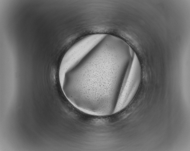 X0000111840115200908131427