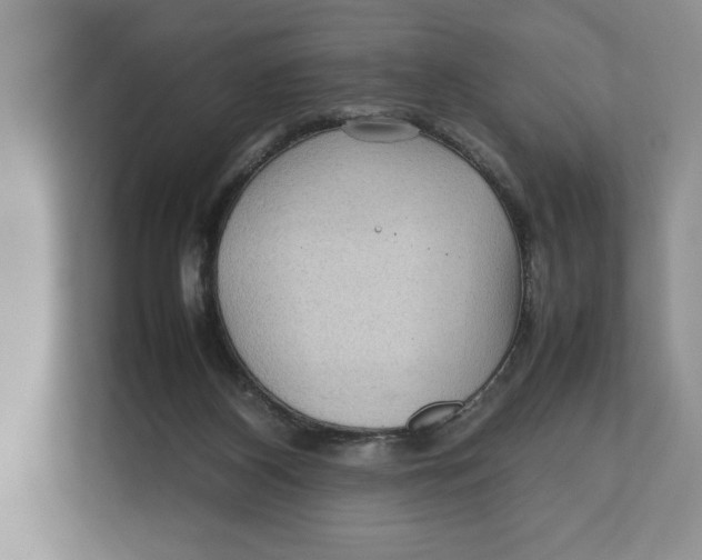 X0000111840116200908131427