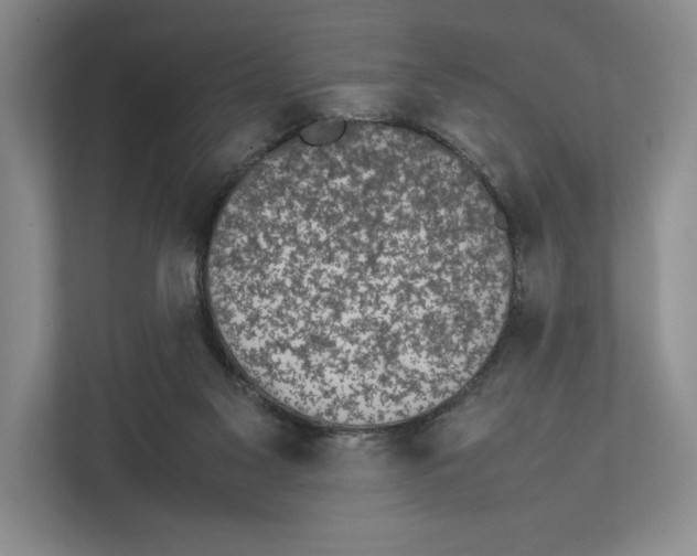 X0000111840117200908131427