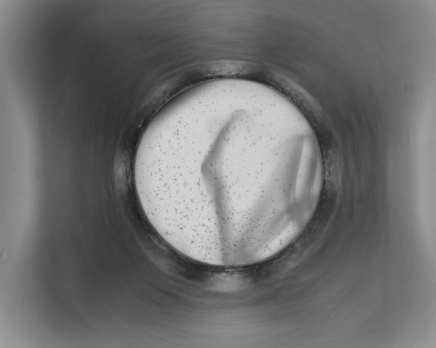 X0000111840119200908131427