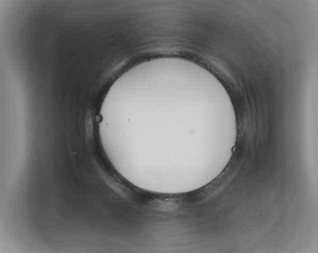 X0000111840120200908131426