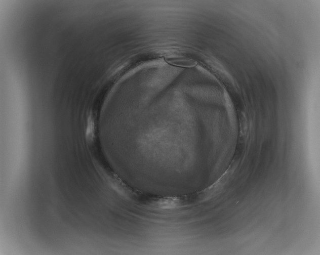 X0000111840124200908131426