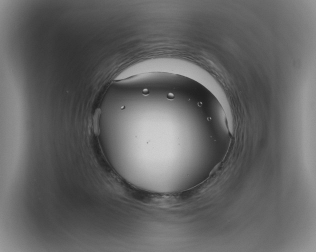 X0000111840125200908131426