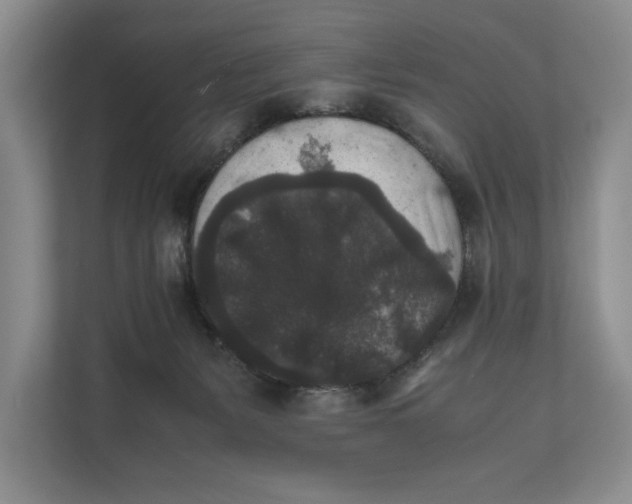 X0000111840127200908131426