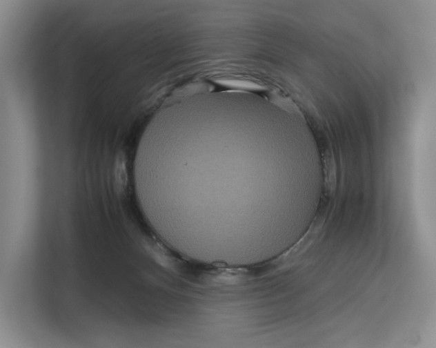 X0000111840128200908131426