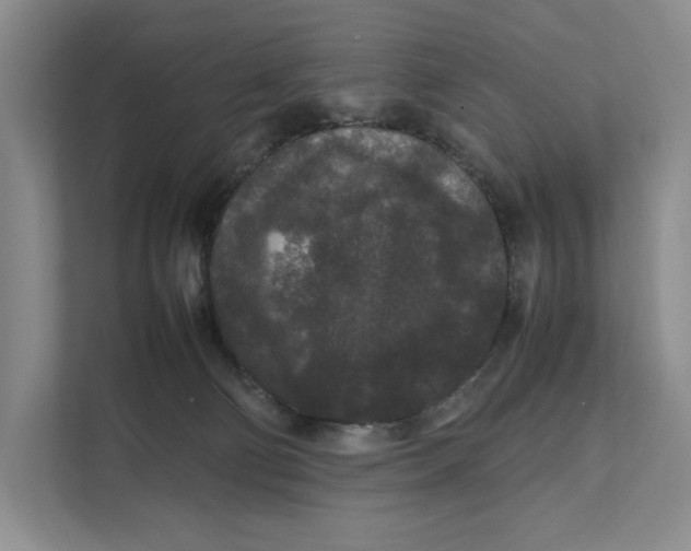 X0000111840130200908131426