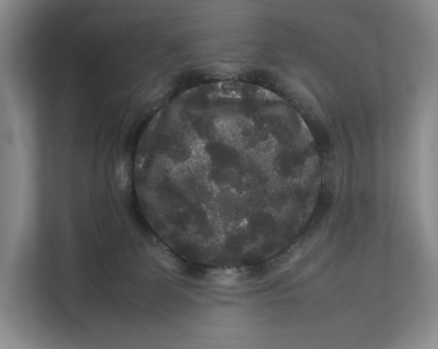 X0000111840131200908131426