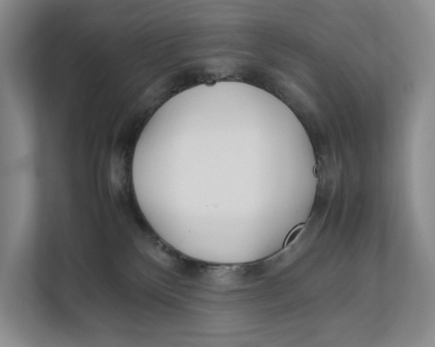 X0000111840136200908131426