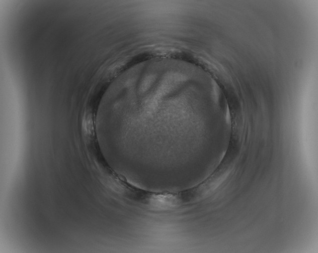 X0000111840137200908131426