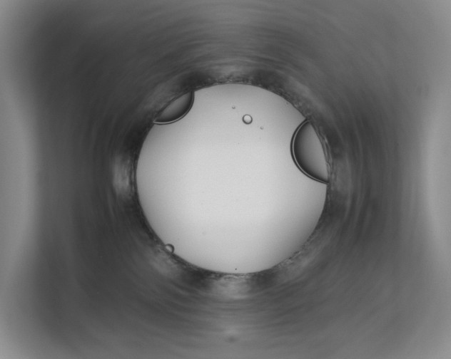 X0000111840138200908131426