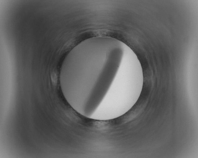 X0000111840139200908131426