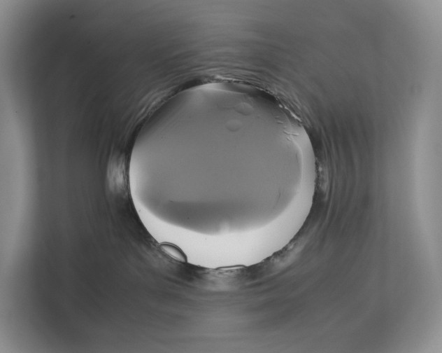 X0000111840143200908131426