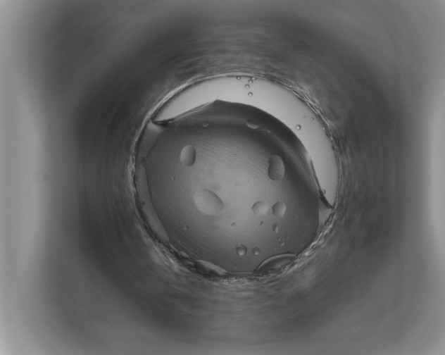 X0000111840146200908131426