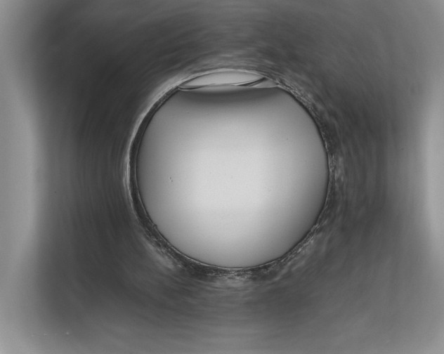 X0000111840148200908131426