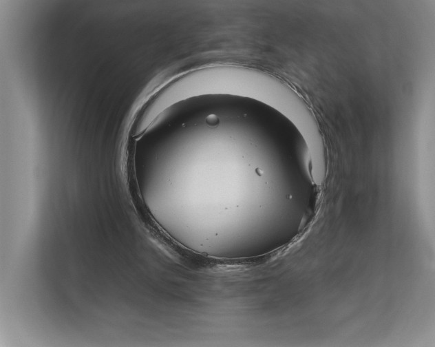 X0000111840150200908131426