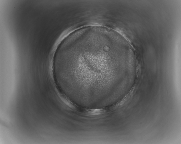 X0000111840151200908131426