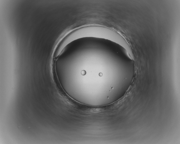 X0000111840152200908131426